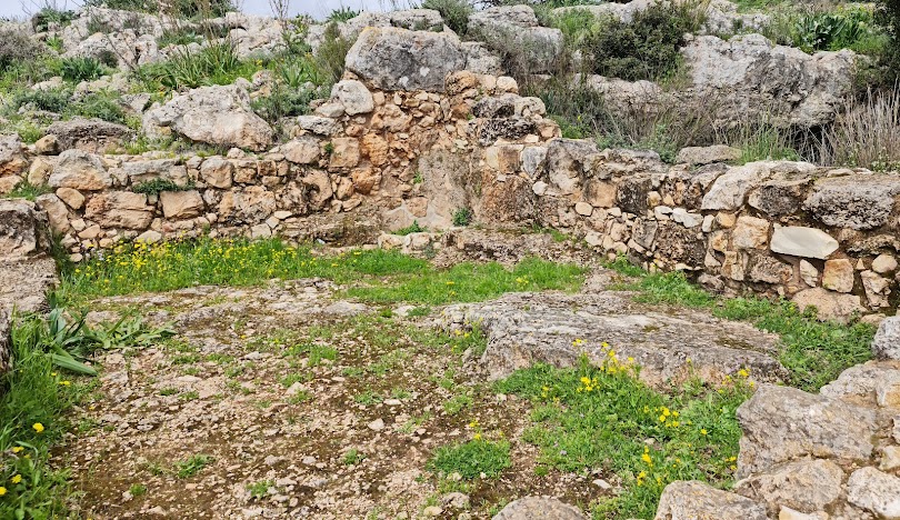 قرية شعب المهجرة  / عكا